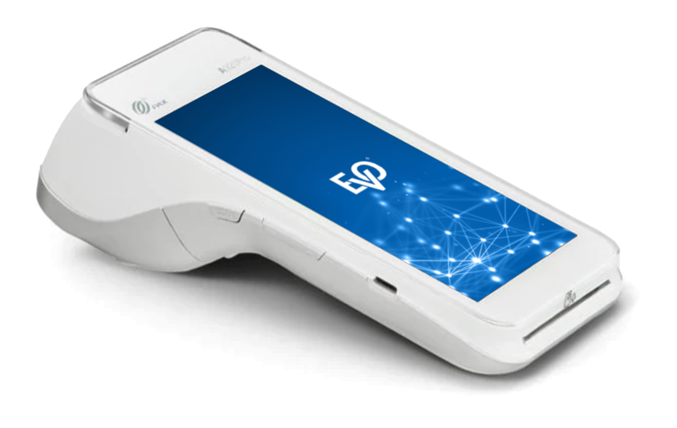 Standalone Terminals EVO Payments
